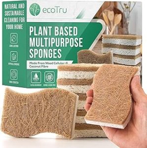 Image of a plant based multipurpose kitchen sponge